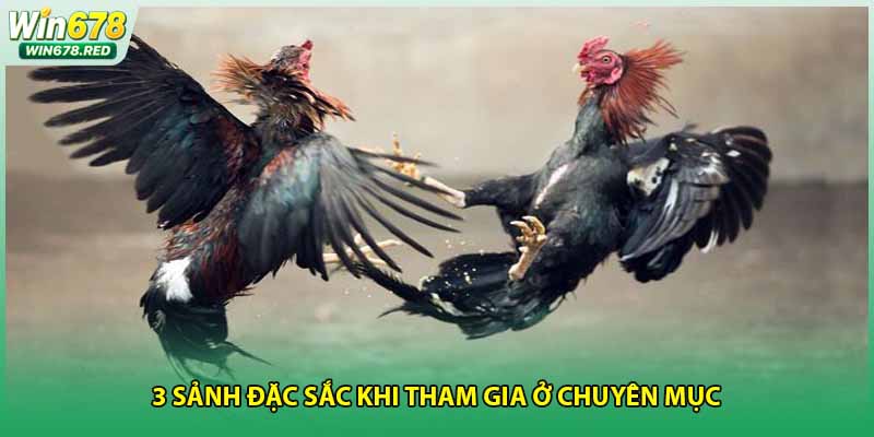 3 sảnh đặc sắc khi tham gia ở chuyên mục 